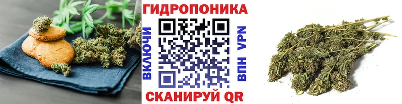 darknet телеграм  купить наркоту  Чебоксары  Cannafood марихуана 