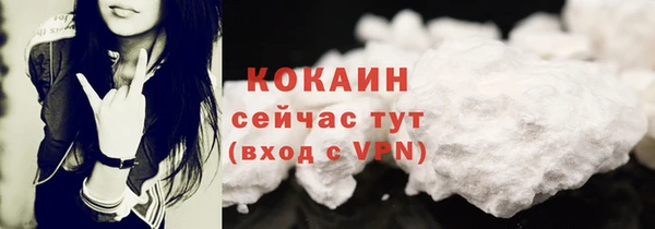 индика Верея