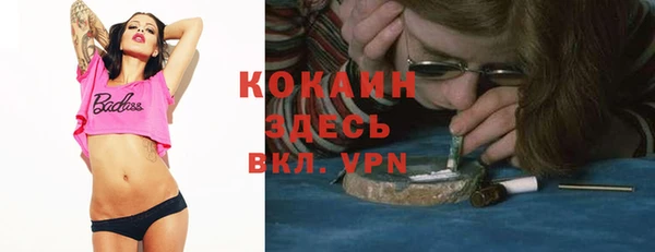 индика Верея