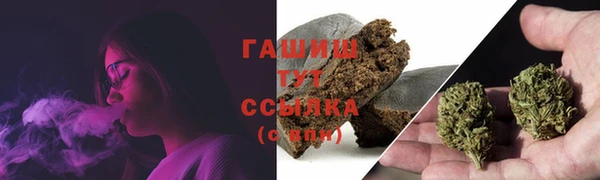 мдпв Верхний Тагил