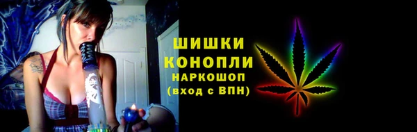 мдпв Верхний Тагил