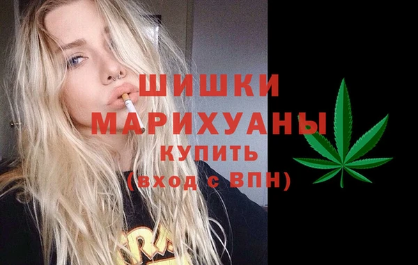 индика Верея