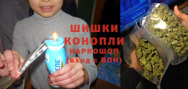 мдпв Верхний Тагил