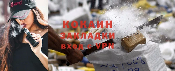 бошки Снежногорск