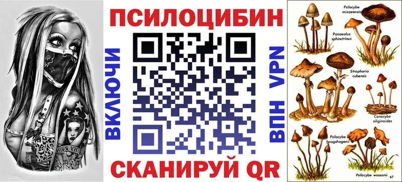 как найти закладки  Чебоксары  Псилоцибиновые грибы прущие грибы 